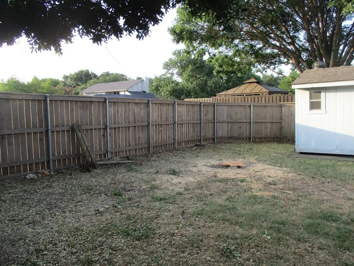 Cleared yard after professional tree removal in Saint Francisville